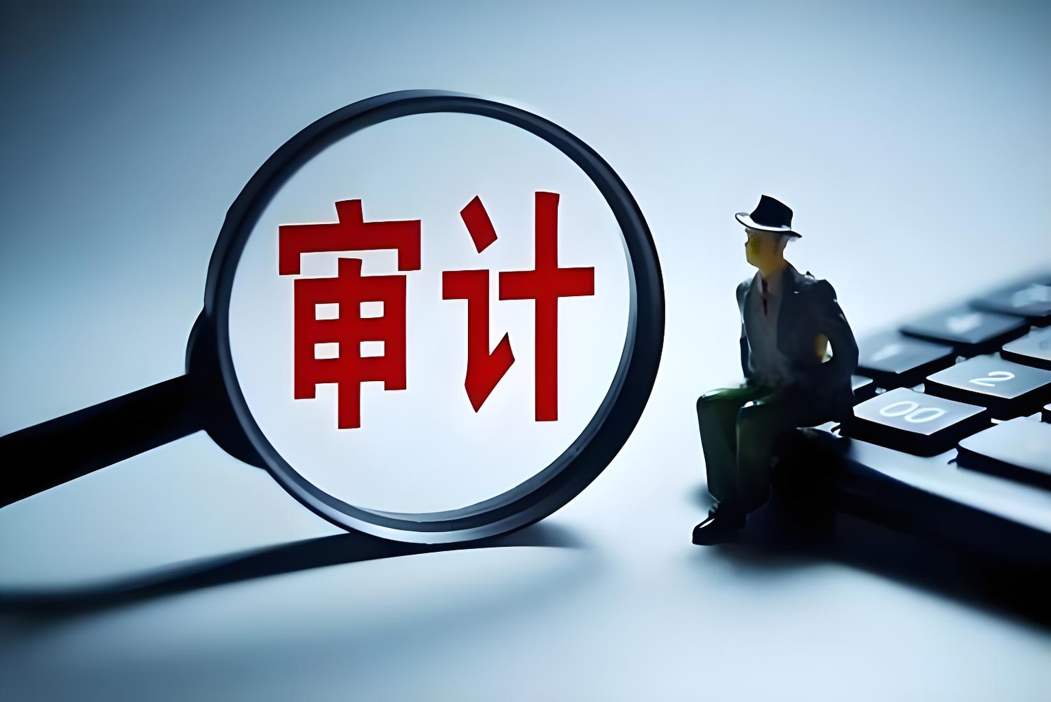 以专业之能  行审计之道
